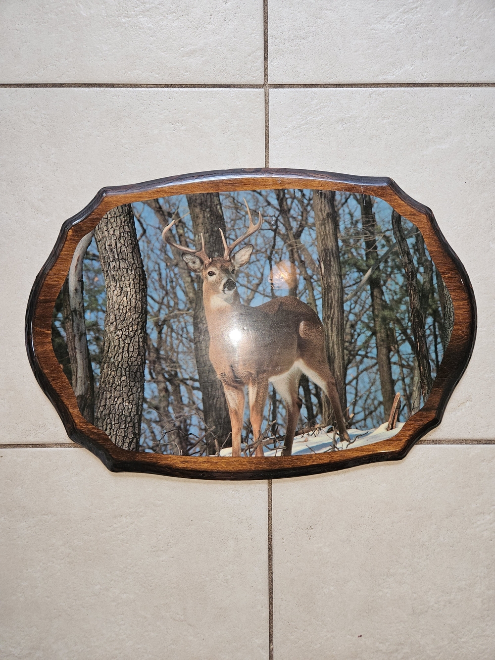 Rustic Brown Deer Wall Plaque with Blue Winter Forest